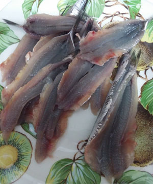 Anchoa